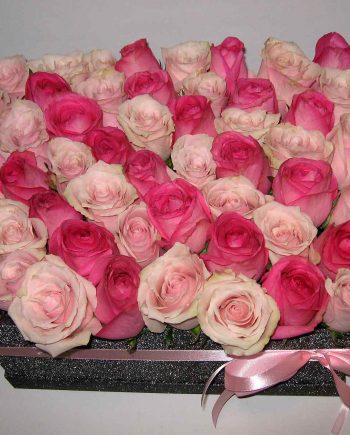 Box kocka sa roze i pink ružama